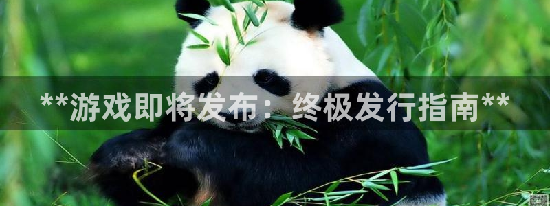 天辰平台用户登录不上怎么办：**游戏即将发布：终极发行指南**