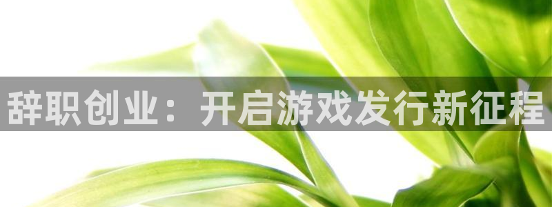 天辰测绘有限公司：辞职创业：开启游戏发行新征程