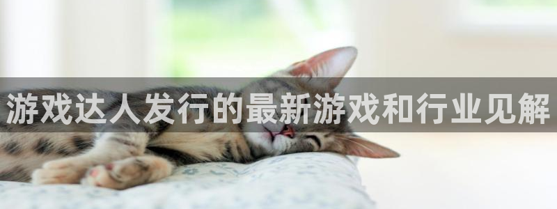 天辰平台会员多少钱一个月：游戏达人发行的最新游戏和行业见解