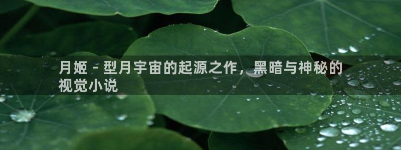 天辰平台西 5o69I7：月姬 - 型月宇宙的起源之作，黑暗与神秘的
视觉小说