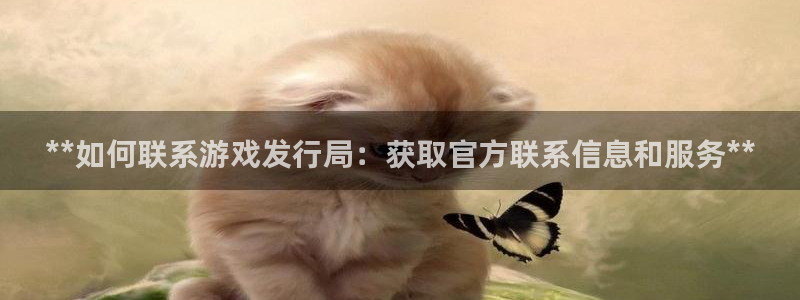 天辰用户注册：**如何联系游戏发行局：获取官方联系信息和服务**
