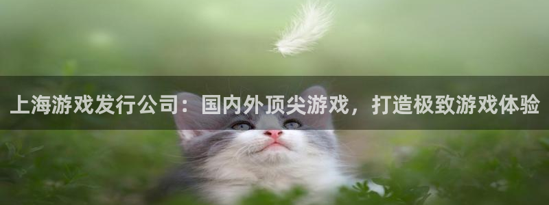 天辰娱乐代理注册平台登录系统异常：上海游戏发行公司：国内外顶尖游戏，打造极致游戏体验