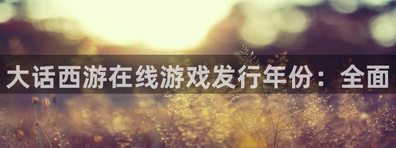 天辰娱乐的老板是谁啊：大话西游在线游戏发行年份：全面