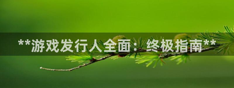 天辰平台用户登录失败什么原因：**游戏发行人全面：终极指南**