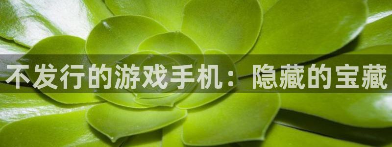 天辰注册会员多少钱：不发行的游戏手机：隐藏的宝藏