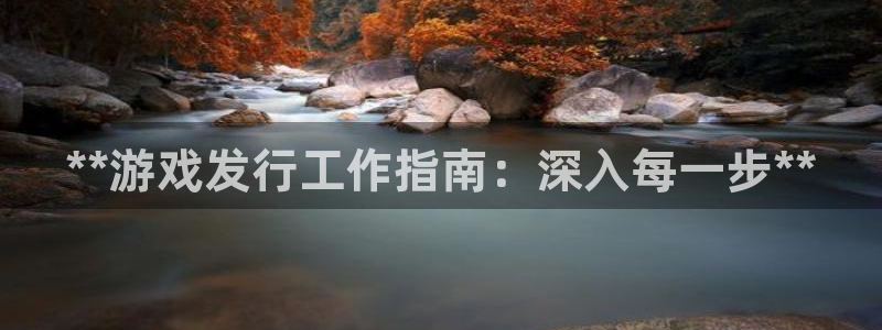 天辰平台注册地址怎么改不了：**游戏发行工作指南：深入每一步**