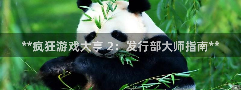 天辰平台测速登录：**疯狂游戏大亨 2：发行部大师指南**