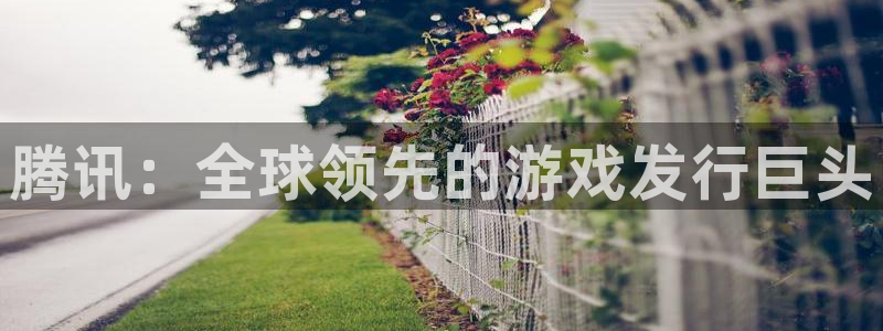 天辰平台价 411O31 平台
