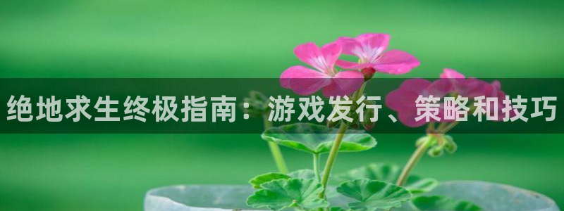 天辰平台 你的专属平台