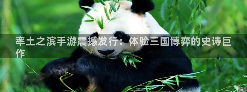 天辰平台 注册你的专属平台入口在哪：率土之滨手游震撼发行：体验三国博弈的史诗巨
作