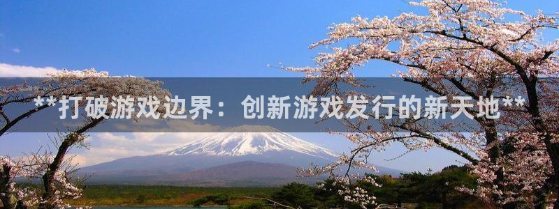 天辰平台测速登录不上怎么办：**打破游戏边界：创新游戏发行的新天地**