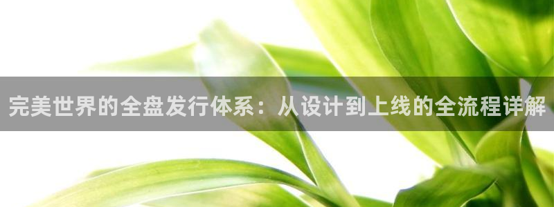 天辰平台用户登录入口网址：完美世界的全盘发行体系：从设计到上线的全流程详解
